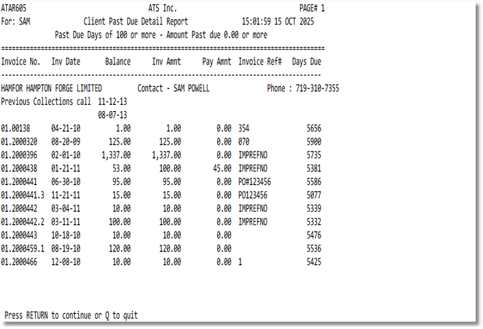Sample Client Past Due Detail report image